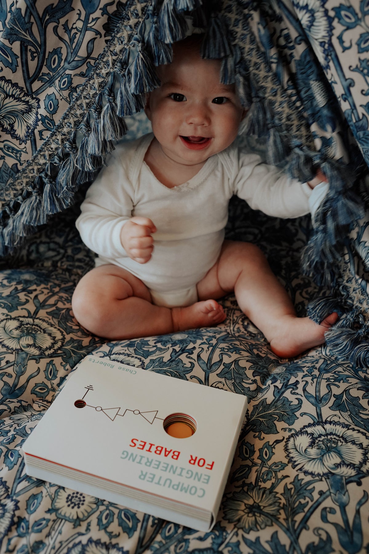 Computer Engineering for Babies | Interactive Board Book