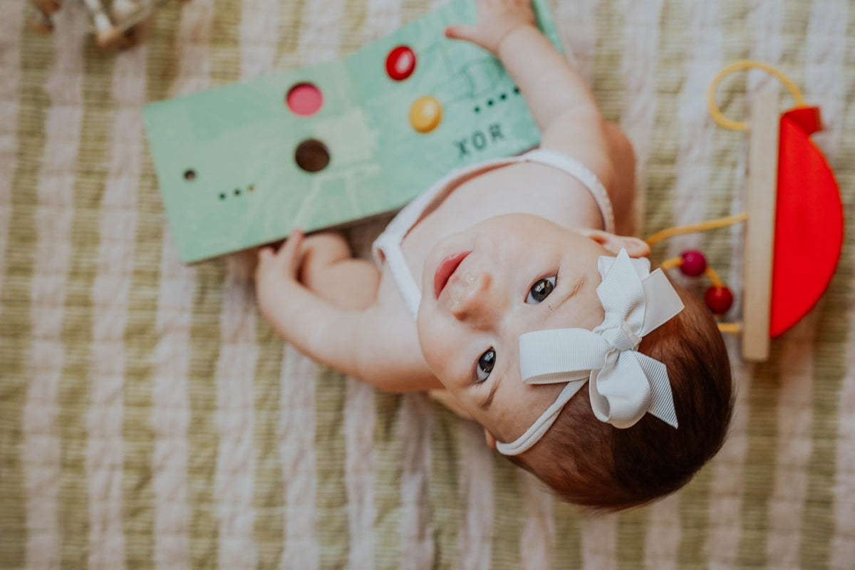 Computer Engineering for Babies | Interactive Board Book