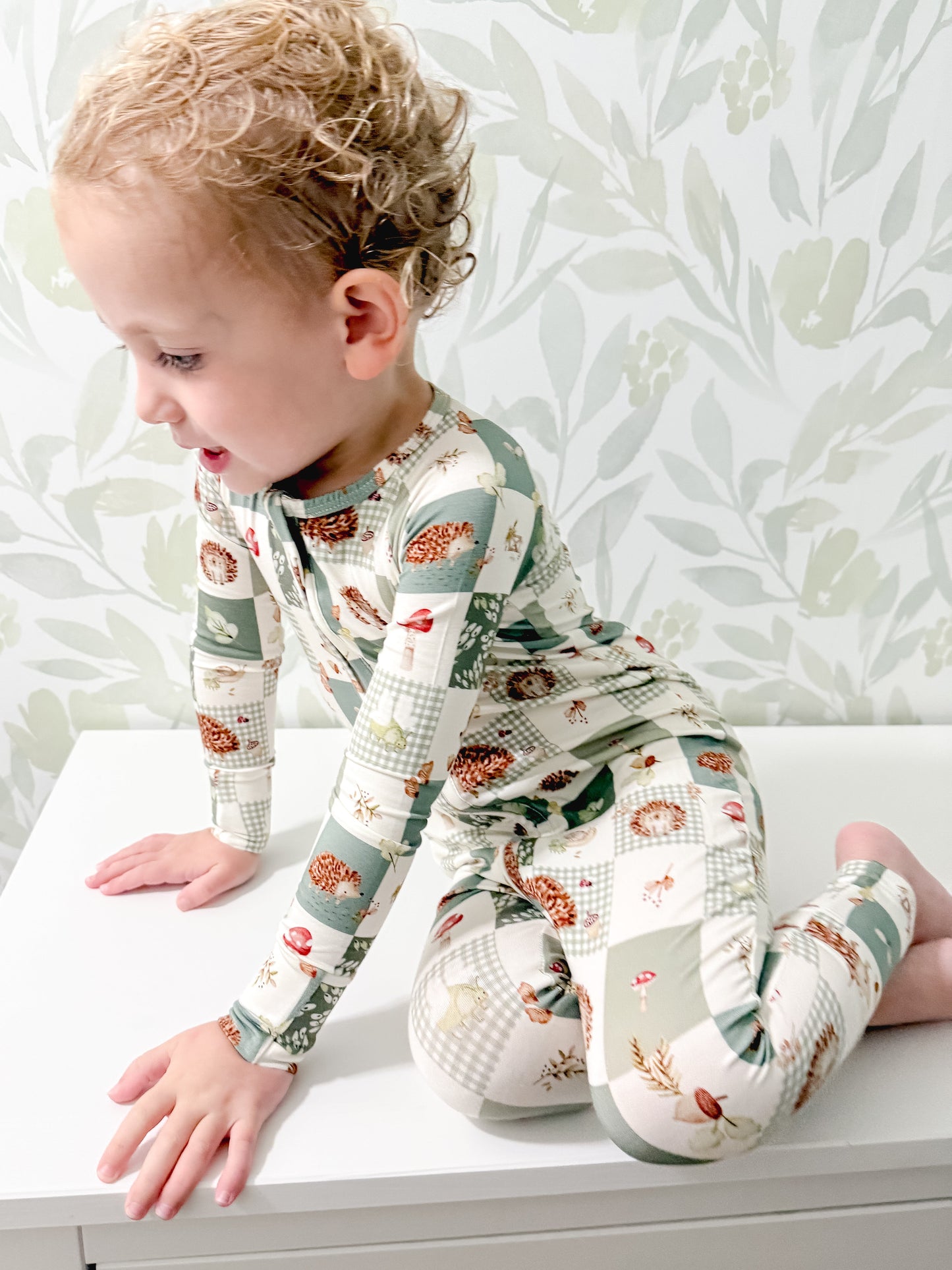 Harvest Hedgehogs Bamboo Zippy Pajamas