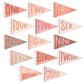 Little Artist Memory Baby Book and Blushing Meadow Petit Milestone Pennant Set