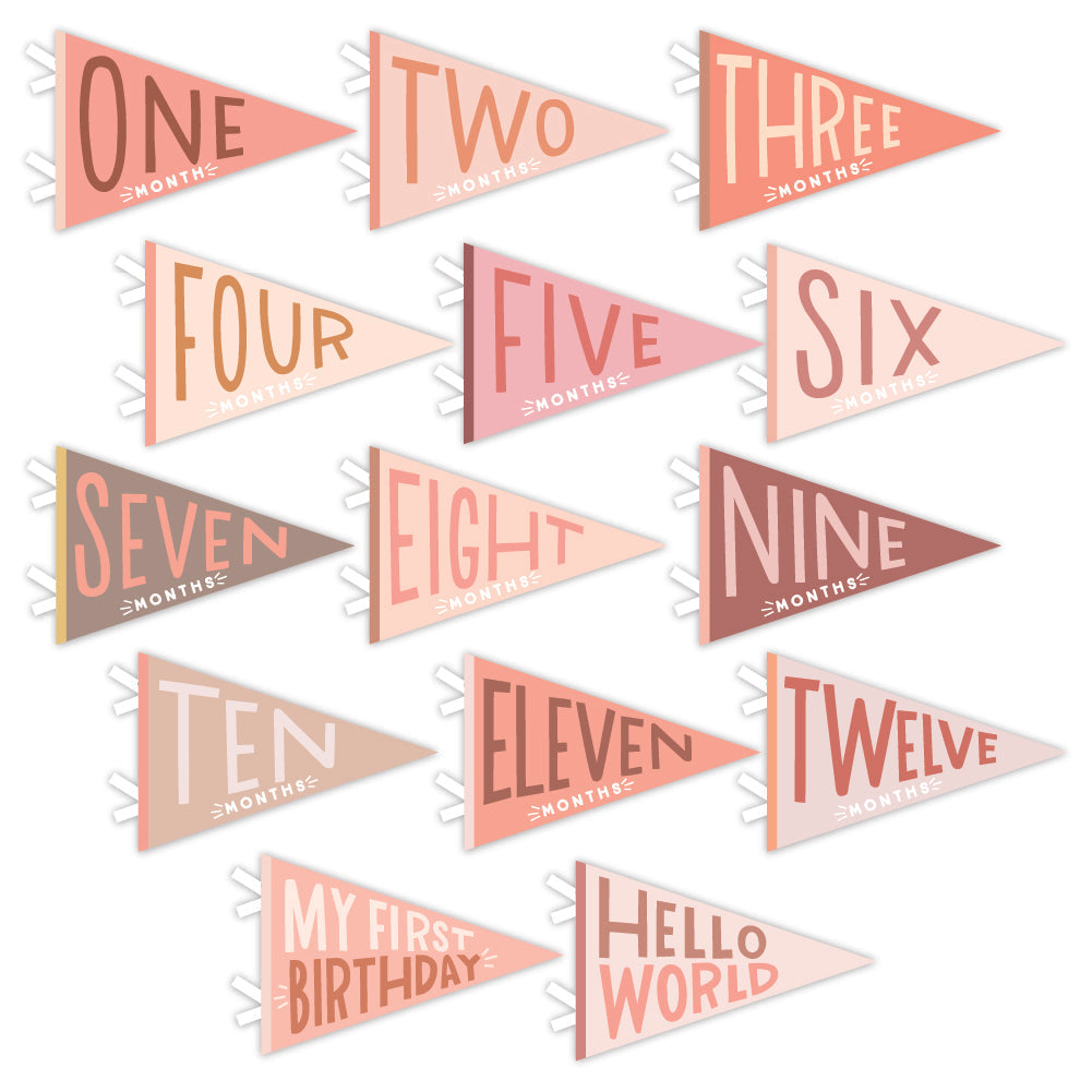 Little Artist Memory Baby Book and Blushing Meadow Petit Milestone Pennant Set