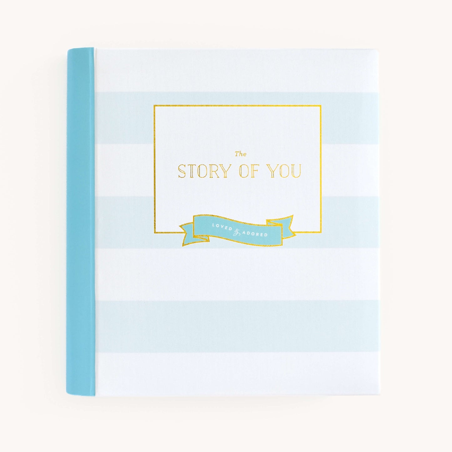 Adoption Baby Memory Book with Adoption Page Pack
