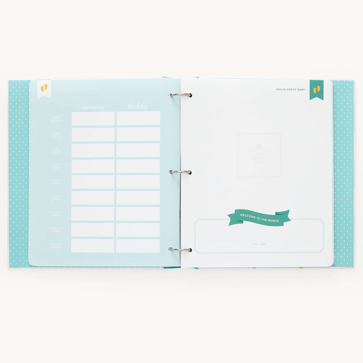 Adoption Baby Memory Book with Adoption Page Pack