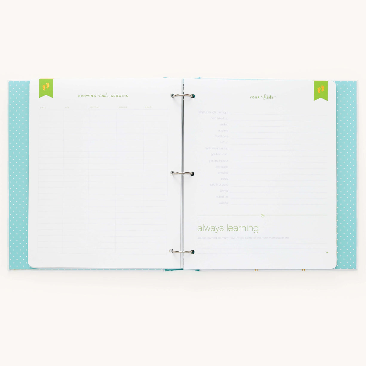 Adoption Baby Memory Book with Adoption Page Pack