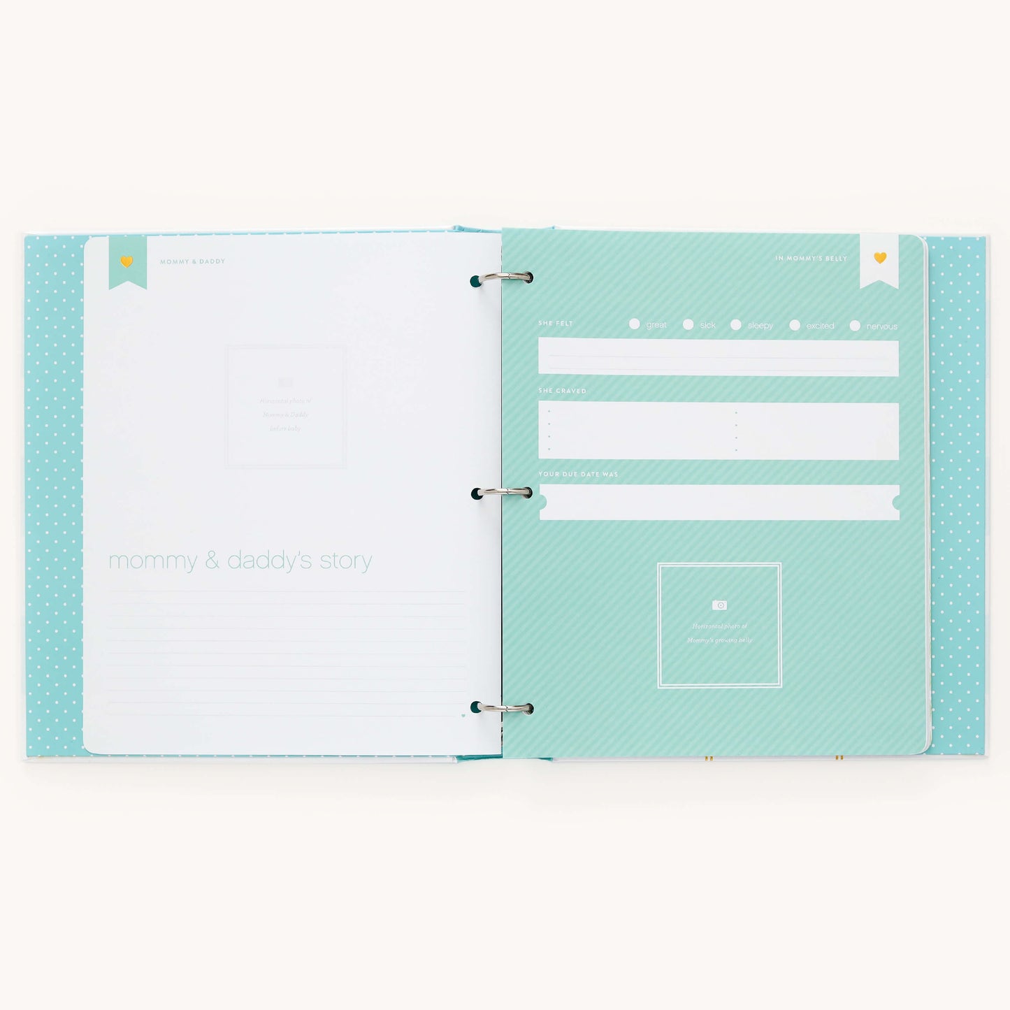 Adoption Baby Memory Book with Adoption Page Pack