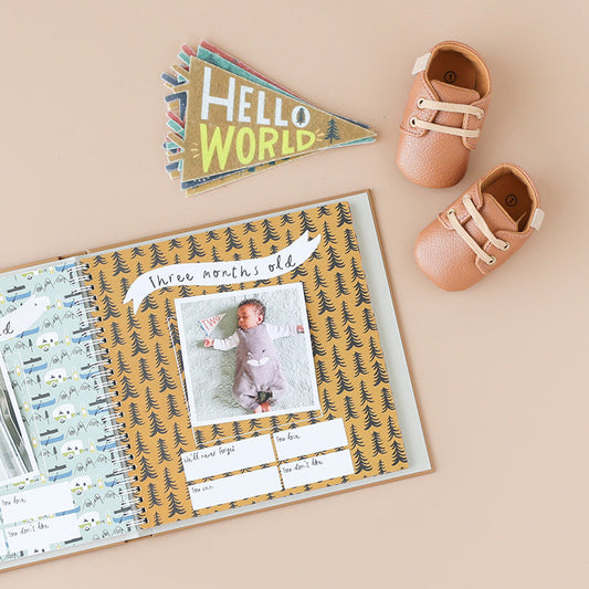 Little Camper Memory Book and Milestone Pennant Set