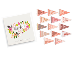 Little Artist Memory Baby Book and Blushing Meadow Petit Milestone Pennant Set