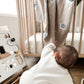 Whimsy Collection - Luxury 100% Cotton Knit Swaddle Baby Blanket
